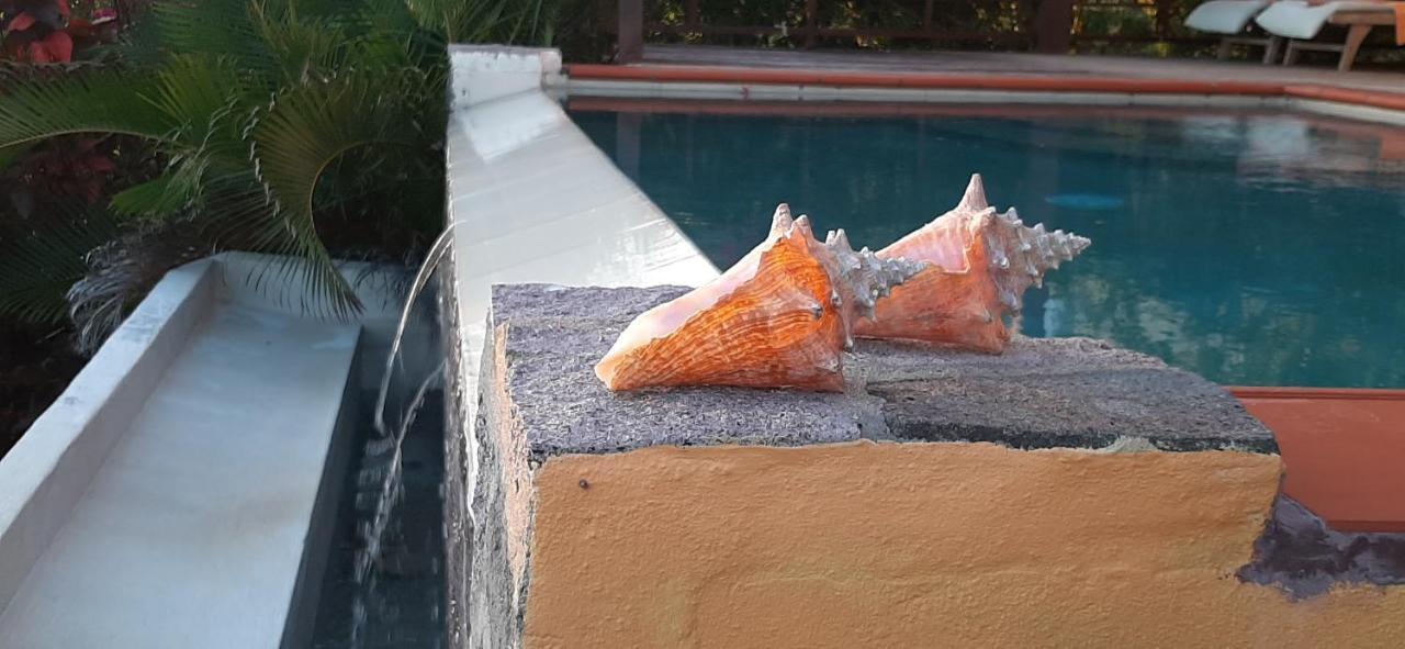 Willa Kaye Mango Soufrière Zewnętrze zdjęcie